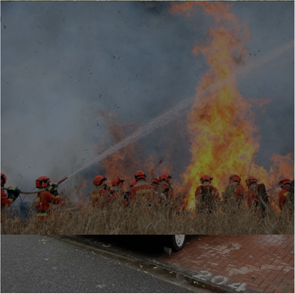  森(sēn)林(lín)消防 